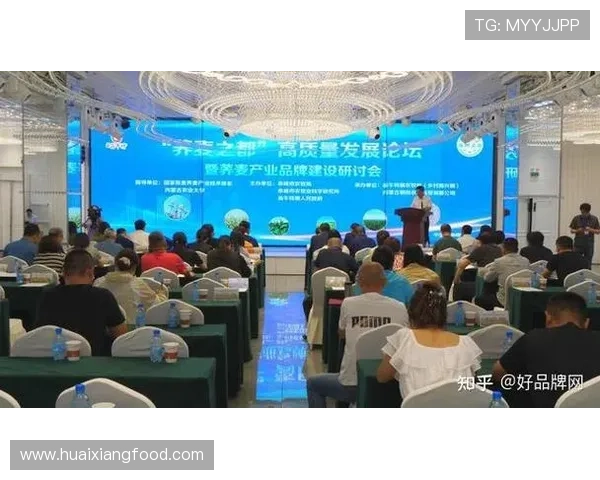 河津企业家引领地方产业升级助推区域经济高质量发展路径研究